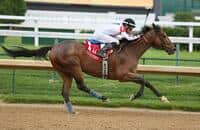 Alsvid Tops a Big Day at Churchill Downs