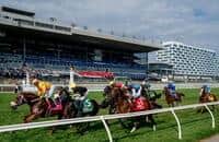 4 Woodbine stakes: Argos, Corsia Veloce win Breeders’ Cup bids