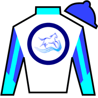 Silk for Book'em Danno