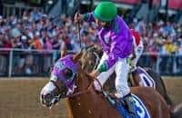 California Chrome Shines in Preakness