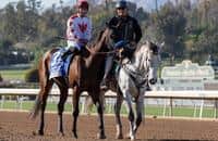 Monday tab: Cavalieri leads 9 graded-stakes winners