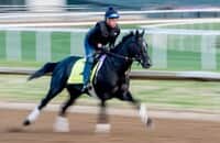 Zipse: Bargain buy Chunk of Gold is striking it rich on track