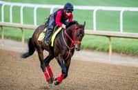 Coal Battle tries to finish rare double in Oklahoma Derby