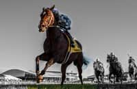 Zipse: Where does Cogburn fit on the national landscape?