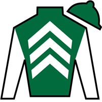 Silk for Day One Starter