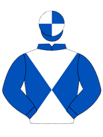 Silk for Desert Dawg