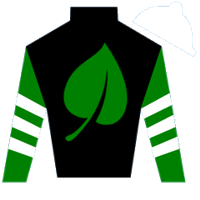 Silk for Duke Of Suggins