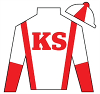 Silk for Growth Equity