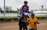 HRN speed figures: Daily top 10 plus fastest maiden winners