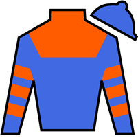 Horse Silk Obliteration