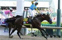 American Pharoah Photo Gallery