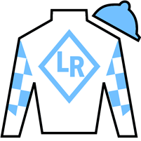 Horse Silk All Class