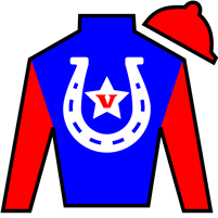 Horse Silk Prince of Power