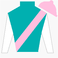 Horse Silk Final Gambit