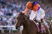 Beholder Photo Gallery