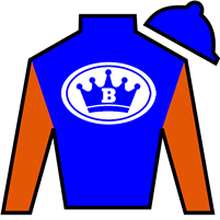 Horse Silk Margie's Intention