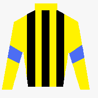 Horse Silk Jantar Mantar