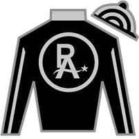 Horse Silk R Disaster