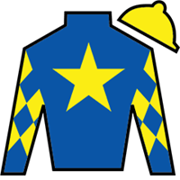 Horse Silk Citizen Bull