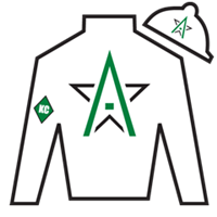 Horse Silk World Record