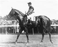 Man o' War Photo Gallery