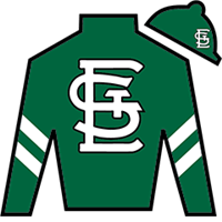 Horse Silk Captain Cook