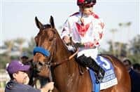 Cavalieri Photo Gallery