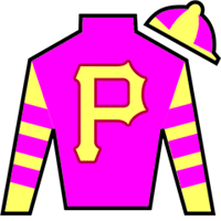 Horse Silk Leslie's Rose