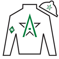 Horse Silk Patch Adams