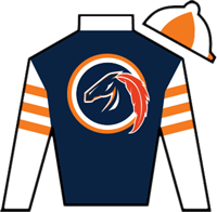 Horse Silk Gold Phoenix