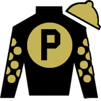 Horse Silk Willy D's