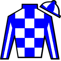 Silk for Secretariat