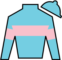 Horse Silk Rodriguez