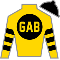 Horse Silk Free Like A Girl