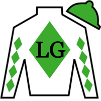 Horse Silk Blackout Time