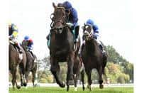 No Nay Never Photo Gallery