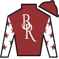 Horse Silk Thorpedo Anna