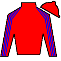 Horse Silk Street View