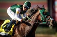 Bolt d'Oro Photo Gallery