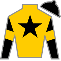 Horse Silk Curtain Call