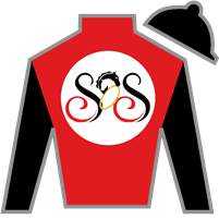 Horse Silk Watsonville