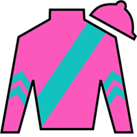 Horse Silk Formidable Man