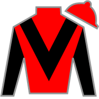 Horse Silk Yellow Card