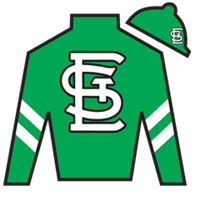 Horse Silk Deterministic