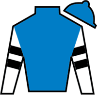 Horse Silk Reef Runner