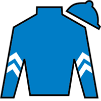 Horse Silk Good Cheer