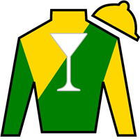 Horse Silk Majestic Oops