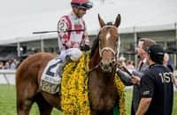 Sunday works: Journalism is 1 of 39 graded winners on the tab