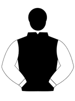 Silk for Jr Sunchaser