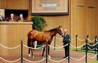 Keeneland sale: $2 million Into Mischief colt leads session 5